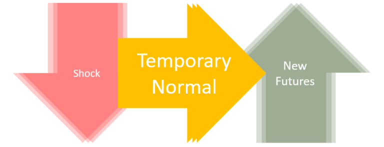 Product Management in Changing Times Part 2 - Temporary Normal